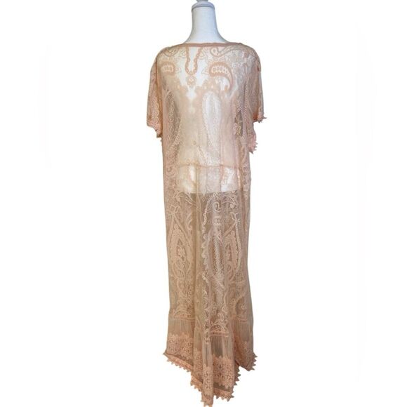 Torrid Sheer Lace Maxi Dress 3X-4X Pink Vintage Victorian Romantic Bridal Fairy - Picture 6 of 10